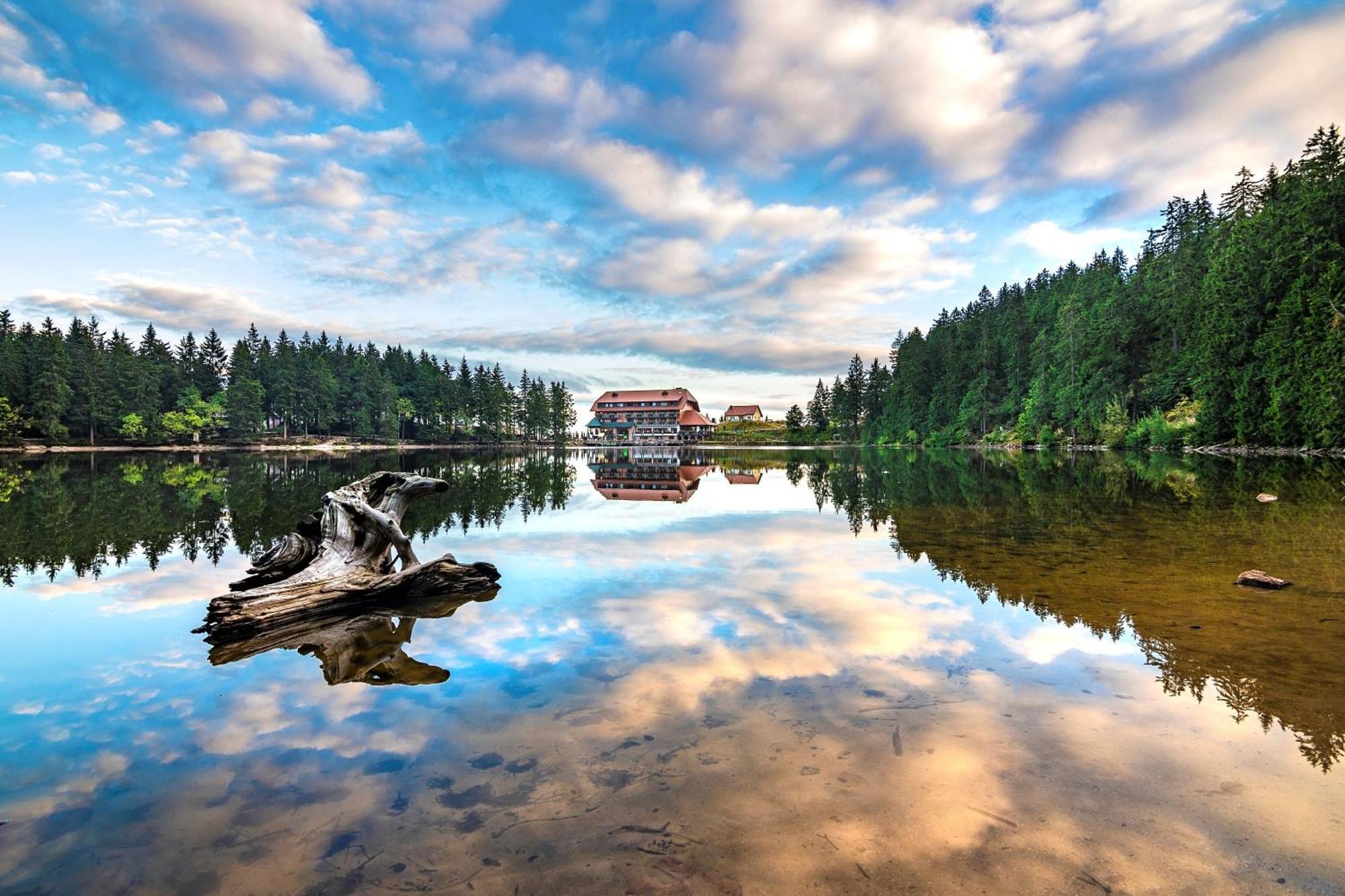 Berghotel Mummelsee Seebach Zewnętrze zdjęcie